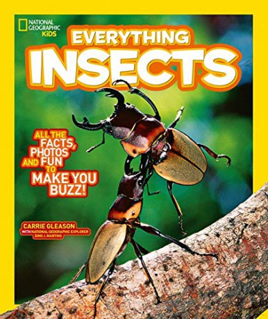Everything: Insects (National Geographic Kids) [KSIĄŻKA]