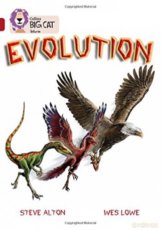 Evolution: Band 14/Ruby (Collins Big Cat) - Steve Alton [KSIĄŻKA]