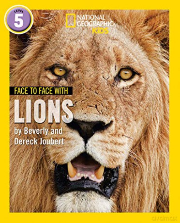 Face to Face with Lions: Level 5 (National Geographic Readers) - Beverly Joubert [KSIĄŻKA]