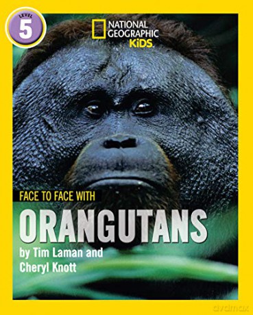 Face to Face with Orangutans: Level 5 (National Geographic Readers) - Tim Laman [KSIĄŻKA]