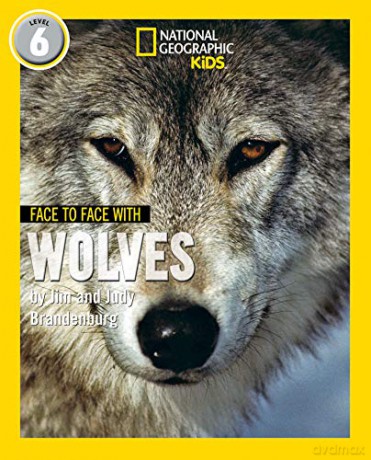 Face to Face with Wolves: Level 6 (National Geographic Readers) - Jim Brandenburg [KSIĄŻKA]