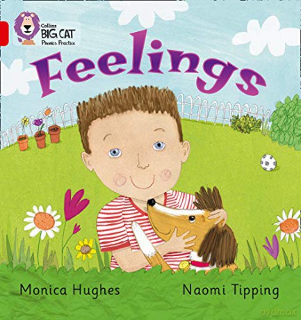 Feelings: A gentle non-fiction book which examines feelings: Red B/Band 2B (Collins Big Cat Phonics) - Monica Hughes [KSIĄŻKA]