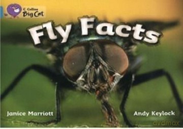 Fly Facts: An informative picture book that presents a larger than life look at the fly.: Band 07/Turquoise (Collins Big Cat) - Janice Marriott [KSIĄŻKA]