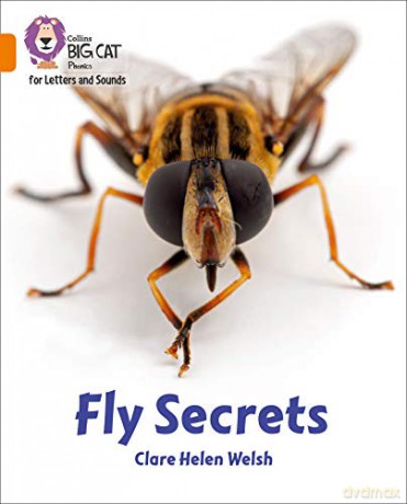 Fly Secrets: Band 06/Orange (Collins Big Cat Phonics for Letters and Sounds) - Clare Helen Welsh [KSIĄŻKA]
