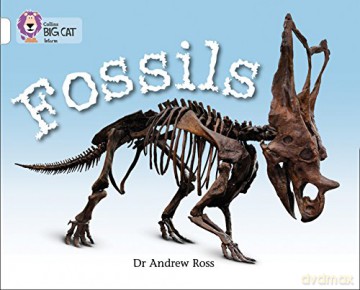 Fossils: Band 10/White (Collins Big Cat) - Dr Andrew Ross [KSIĄŻKA]