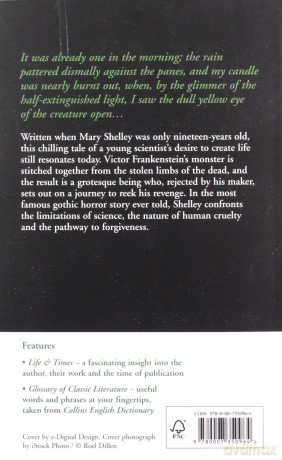 Frankenstein (Collins Classics) - Mary Shelley [KSIĄŻKA]