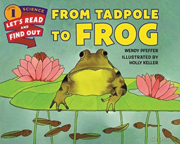 From Tadpole to Frog (Let's-Read-and-Find-Out Science 1) - Wendy Pfeffer [KSIĄŻKA]