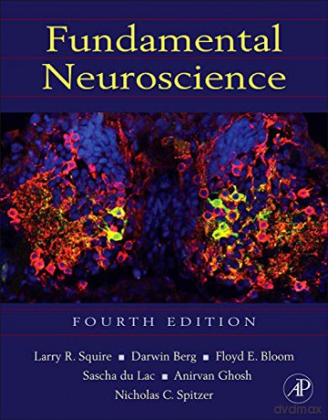 Fundamental Neuroscience - Larry R. Squire [KSIĄŻKA]