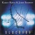 Karin Krog, John Surman: Bluesand [CD]