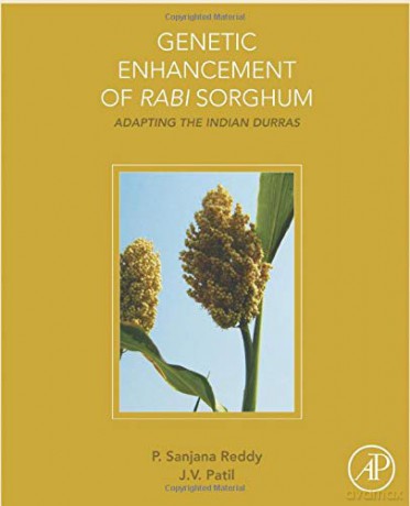 Genetic Enhancement of Rabi Sorghum: Adapting the Indian Durras - Sanjana Sanjana Reddy [KSIĄŻKA]