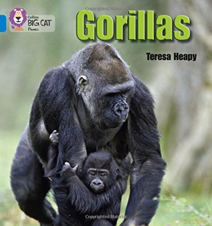 Gorillas: Band 04/Blue (Collins Big Cat Phonics) - Teresa Heapy [KSIĄŻKA]