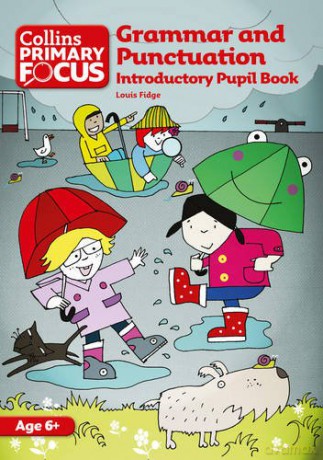 Grammar and Punctuation: Introductory Pupil Book (Collins Primary Focus) - Louis Fidge [KSIĄŻKA]