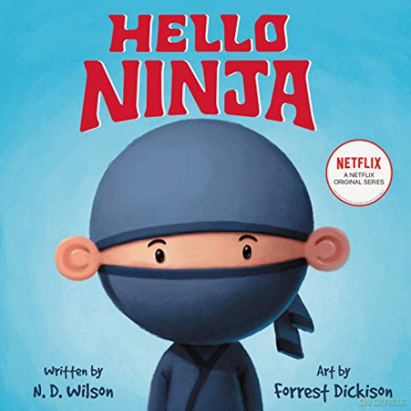 Hello, Ninja - N. D. Wilson [KSIĄŻKA]