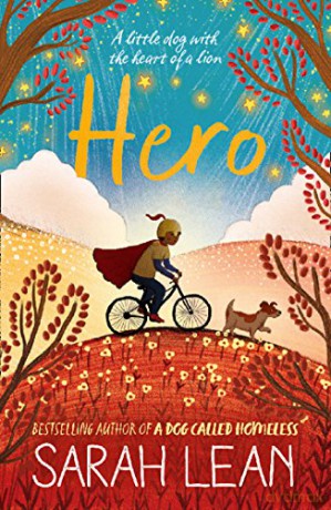 Hero - Sarah Lean [KSIĄŻKA]