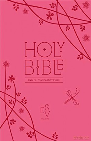 Holy Bible: English Standard Version (ESV) Anglicised Pink Compact Gift Edition with Zip (Collins Anglicised ESV Bibles) [KSIĄŻKA]