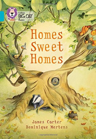 Homes Sweet Homes: Band 07/Turquoise (Collins Big Cat) - James Carter [KSIĄŻKA]