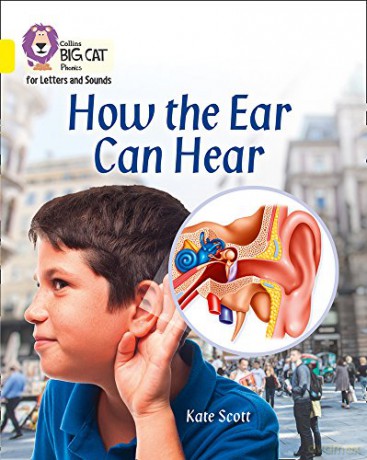 How the Ear Can Hear: Band 03/Yellow (Collins Big Cat Phonics for Letters and Sounds) - Kate Scott [KSIĄŻKA]