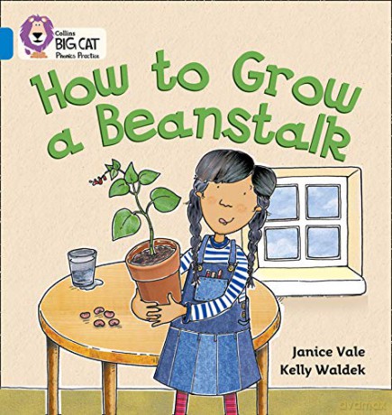 How to Grow a Beanstalk: Learn how to grow a beanstalk: Blue/Band 4 (Collins Big Cat Phonics) - Janice Vale [KSIĄŻKA]