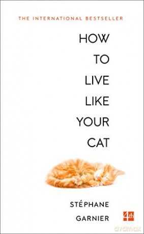 How to Live Like Your Cat (182 POCHE) - Stéphane Garnier [KSIĄŻKA]