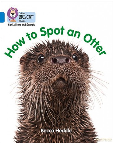 How to Spot an Otter: Band 04/Blue (Collins Big Cat Phonics for Letters and Sounds) - Becca Heddle [KSIĄŻKA]