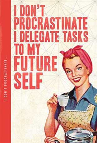 I Don't Procrastinate Large Notatnik A5