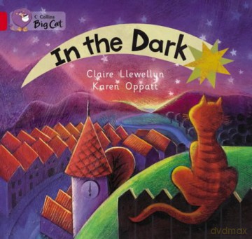In the Dark: A patterned non-fiction text with atmospheric illustrations to show what happens in the dark.: Band 02a/Red A (Collins Big Cat) - Claire Llewellyn [KSIĄŻKA]