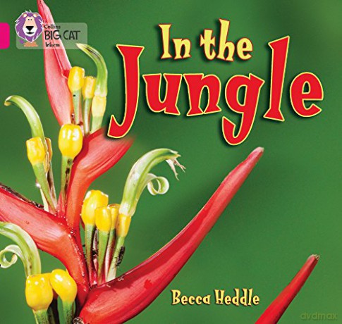 In the Jungle: Band 01B/Pink B (Collins Big Cat) - Becca Heddle [KSIĄŻKA]