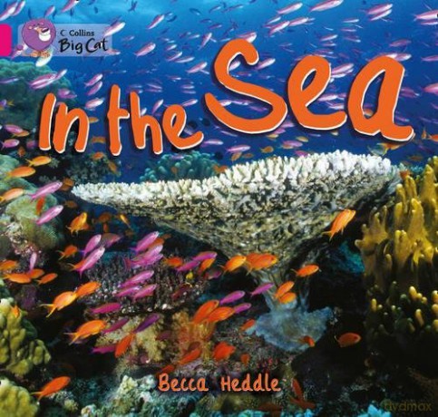 In the Sea: Band 01B/Pink B (Collins Big Cat) - Becca Heddle [KSIĄŻKA]