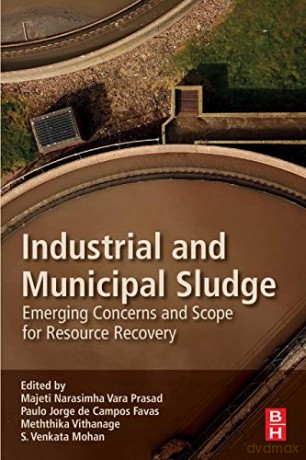 Industrial and Municipal Sludge: Emerging Concerns and Scope for Resource Recovery - Majeti Narasimha Vara Prasad [KSIĄŻKA]