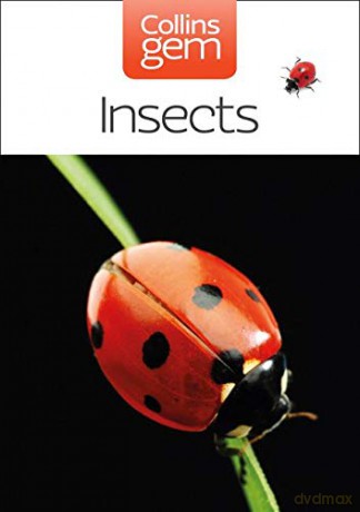 Insects (Collins Gem) - Michael Chinery [KSIĄŻKA]