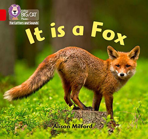 It is a Fox: Band 02B/Red B (Collins Big Cat Phonics for Letters and Sounds) - Alison Milford [KSIĄŻKA]