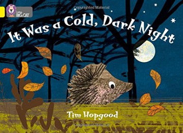 It Was a Cold Dark Night: Band 03/Yellow (Collins Big Cat) - Tim Hopgood [KSIĄŻKA]