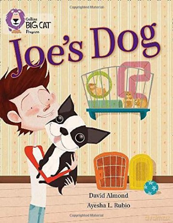 Joe's Dog: Band 09 Gold/Band 12 Copper (Collins Big Cat Progress) - David Almond [KSIĄŻKA]
