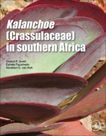 Kalanchoe (Crassulaceae) in Southern Africa: Classification, Biology, and Cultivation - Gideon F. Smith [KSIĄŻKA]