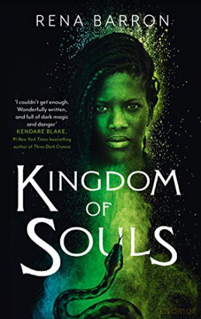 Kingdom of Souls: The extraordinary West African-inspired fantasy debut!: Book 1 (Kingdom of Souls trilogy) - Rena Barron [KSIĄŻKA]