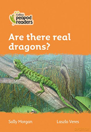 Level 4 - Are there real dragons? (Collins Peapod Readers) - Sally Morgan [KSIĄŻKA]