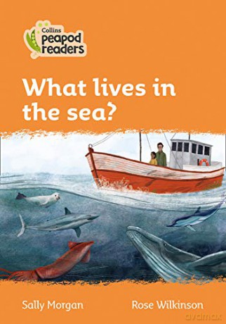 Level 4 - What lives in the sea? (Collins Peapod Readers) - Sally Morgan [KSIĄŻKA]