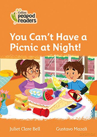 Level 4 - You Can't Have a Picnic at Night! (Collins Peapod Readers) - Juliet Clare Bell [KSIĄŻKA]