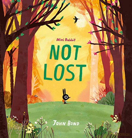 Mini Rabbit Not Lost - John Bond [KSIĄŻKA]