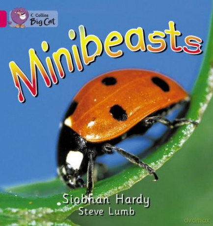 Minibeasts: This photographic non-fiction book provides an introduction to minibeasts.: Band 01a/Pink A (Collins Big Cat) - Siobhan Hardy [KSIĄŻKA]