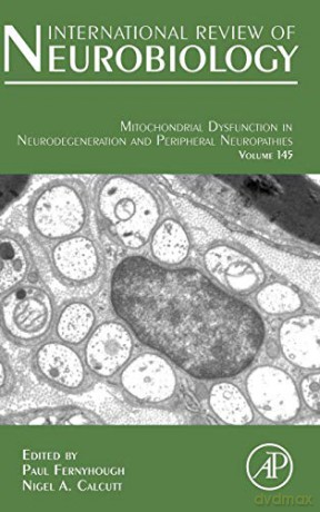 Mitochondrial Neuropathies: Volume 145 (International Review of Neurobiology, Volume 145) - Nigel Calcutt [KSIĄŻKA]