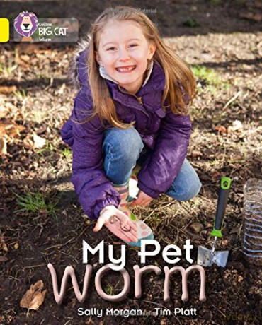 My Pet Worm: Band 03/Yellow (Collins Big Cat) - Sally Morgan [KSIĄŻKA]