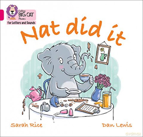 Nat Did It: Band 01A/Pink A (Collins Big Cat Phonics for Letters and Sounds) - Sarah Rice [KSIĄŻKA]