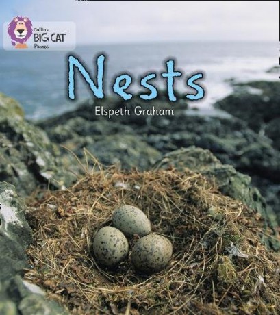 NESTS: Band 02A/Red A (Collins Big Cat Phonics) - Elspeth Graham [KSIĄŻKA]