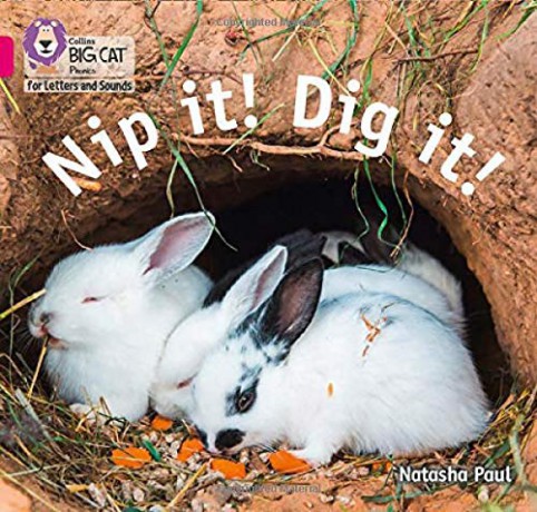 Nip it! Dig it!: Band 01B/Pink B (Collins Big Cat Phonics for Letters and Sounds) - Natasha Paul [KSIĄŻKA]