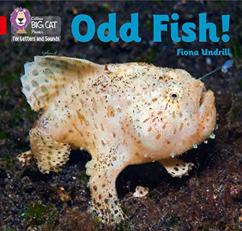 Odd Fish!: Band 02B/Red B (Collins Big Cat Phonics for Letters and Sounds) - Fiona Undrill [KSIĄŻKA]