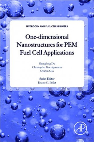 One-dimensional Nanostructures for PEM Fuel Cell Applications (Hydrogen and Fuel Cells Primers) - Shangfeng Du [KSIĄŻKA]