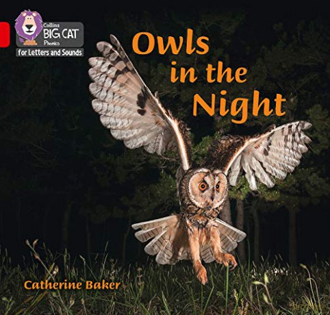 Owls in the Night: Band 02B/Red B (Collins Big Cat Phonics for Letters and Sounds) - Catherine Baker [KSIĄŻKA]
