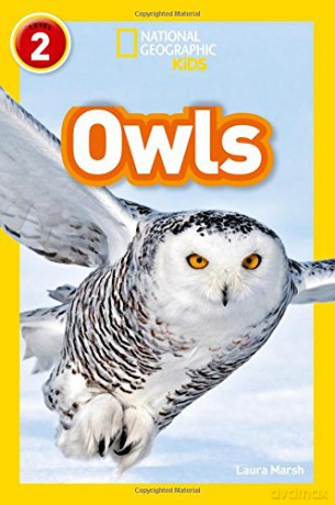 Owls: Level 2 (National Geographic Readers) - Laura Marsh [KSIĄŻKA]