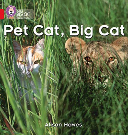 Pet Cat, Big Cat: A photographic recount comparing pet cats and big cats: Red A/Band 2A (Collins Big Cat Phonics) - Alison Hawes [KSIĄŻKA]